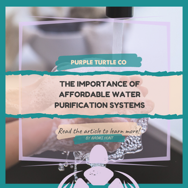 The Importance of Affordable Water Purification Systems