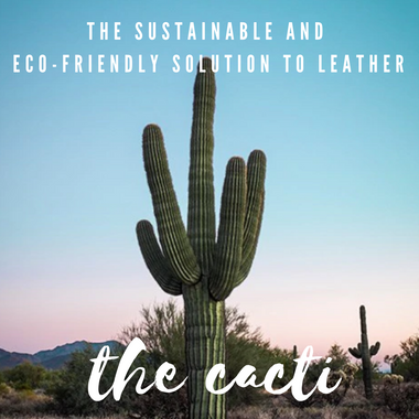 The Sustainable & Eco-Friendly Solution to Leather