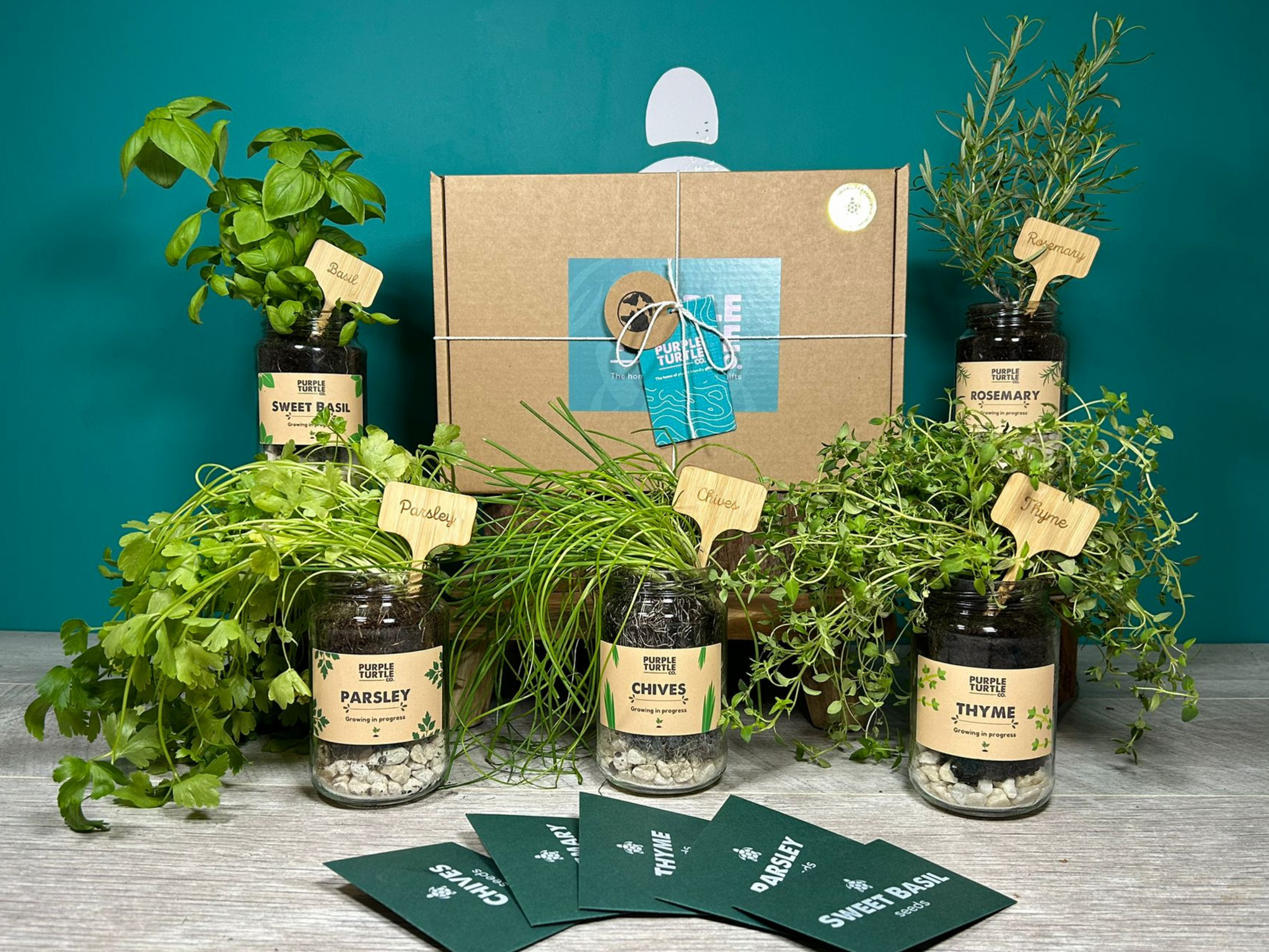 Purple Turtle Co: Grow Your Own Herbs Gift Set