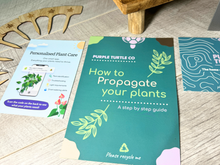 Load image into Gallery viewer, Plant Propagation Gift Set #4
