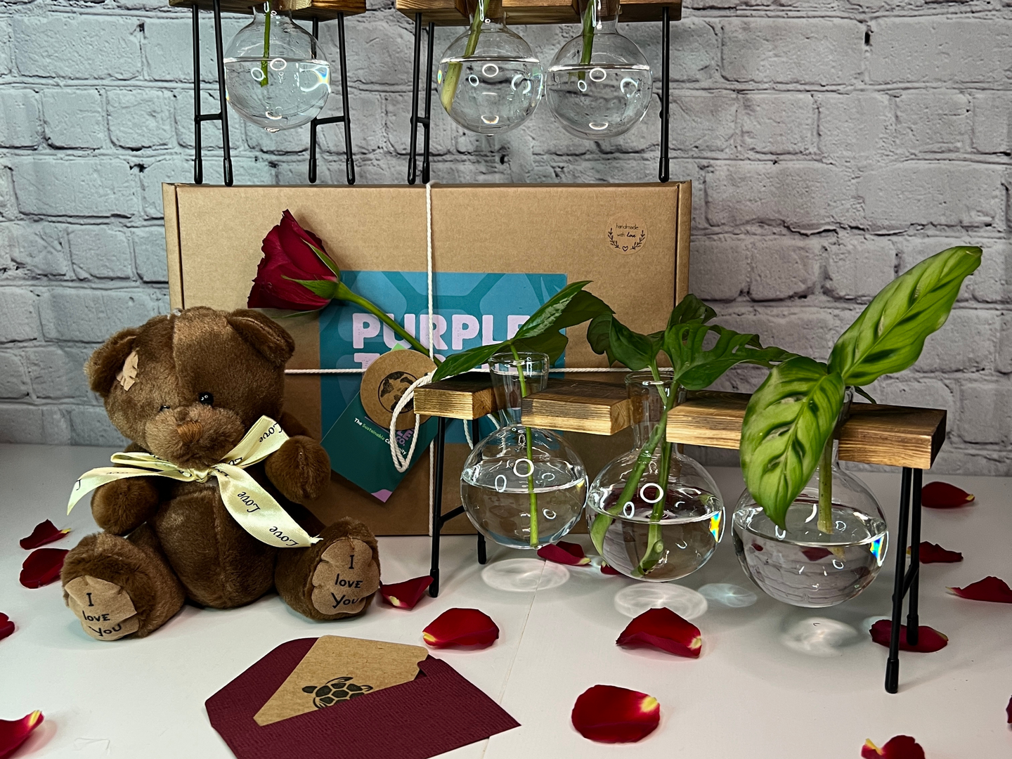 Valentine's Day Plant Propagation Gift Set