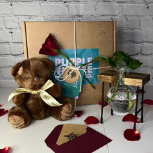 Load image into Gallery viewer, Valentine&#39;s Day Plant Propagation Gift Set
