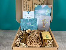 Load image into Gallery viewer, Plant Propagation Gift Set #2
