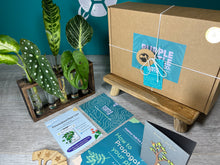 Load image into Gallery viewer, Plant Propagation Station Gift Set + Gift Box | Plant Lovers Gift | Gifts For Her | Grow Your Own Plants | + Free Plant Care App Membership
